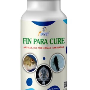 FIN PARA CURE